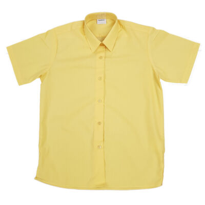 Short Sleeve Blouse Thumbnail